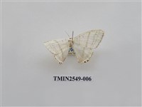 藏品(尺蛾39)的圖片